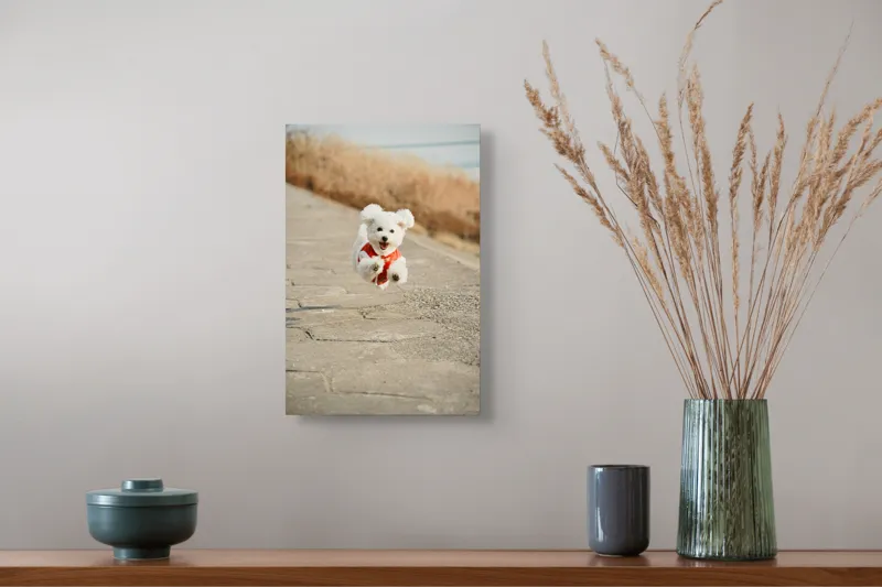 Tablou Canvas, "Zborul fericit al cățelului alb", Fluffy, Energetic, Joyful, Playful, Excited, Adorable, 26 x 39 cm – poza 5