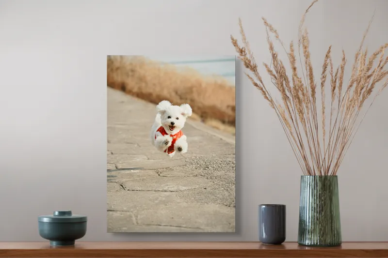 Tablou Canvas, "Zborul fericit al cățelului alb", Fluffy, Energetic, Joyful, Playful, Excited, Adorable, 39 x 54 cm – poza 3