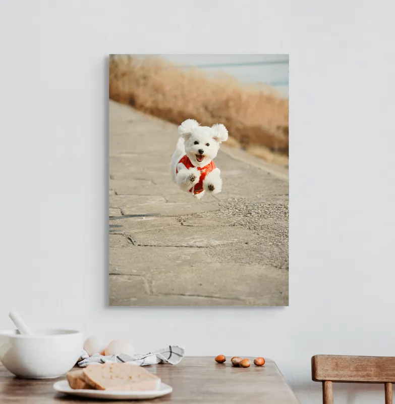 Tablou Canvas, "Zborul fericit al cățelului alb", Fluffy, Energetic, Joyful, Playful, Excited, Adorable, 50 x 70 cm – poza 3