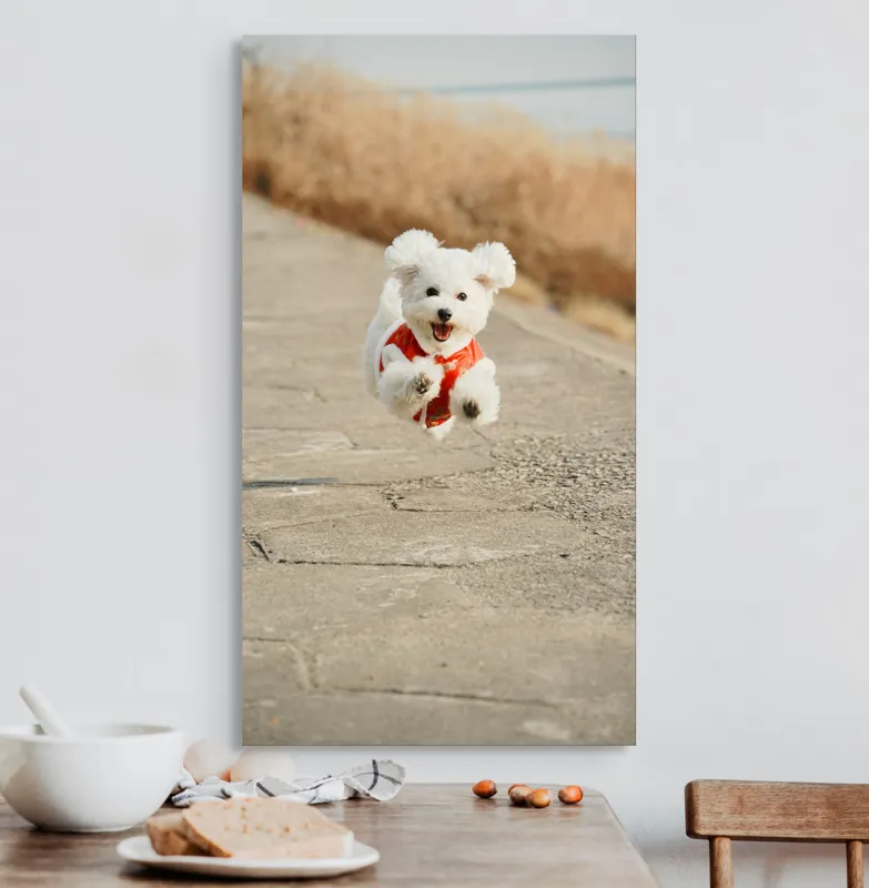 Tablou Canvas, "Zborul fericit al cățelului alb", Fluffy, Energetic, Joyful, Playful, Excited, Adorable, 50 x 90 cm – poza 3
