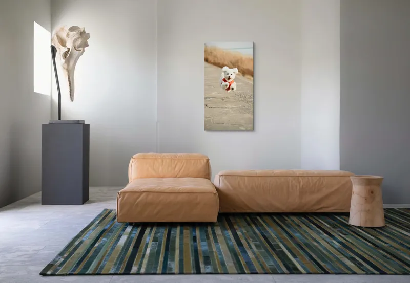 Tablou Canvas, "Zborul fericit al cățelului alb", Fluffy, Energetic, Joyful, Playful, Excited, Adorable, 50 x 90 cm – poza 5