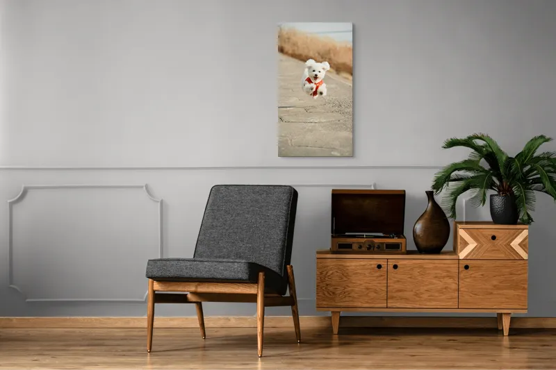 Tablou Canvas, "Zborul fericit al cățelului alb", Fluffy, Energetic, Joyful, Playful, Excited, Adorable, 50 x 90 cm – poza 8