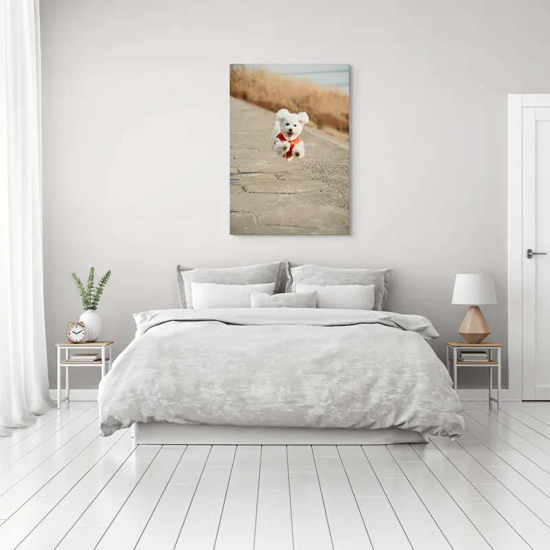 Tablou Canvas, "Zborul fericit al cățelului alb", Fluffy, Energetic, Joyful, Playful, Excited, Adorable, 70 x 100 cm – poza 3
