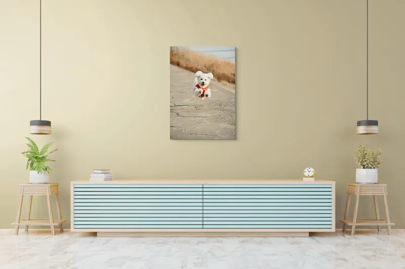 Tablou Canvas, "Zborul fericit al cățelului alb", Fluffy, Energetic, Joyful, Playful, Excited, Adorable, 70 x 100 cm – poza 5