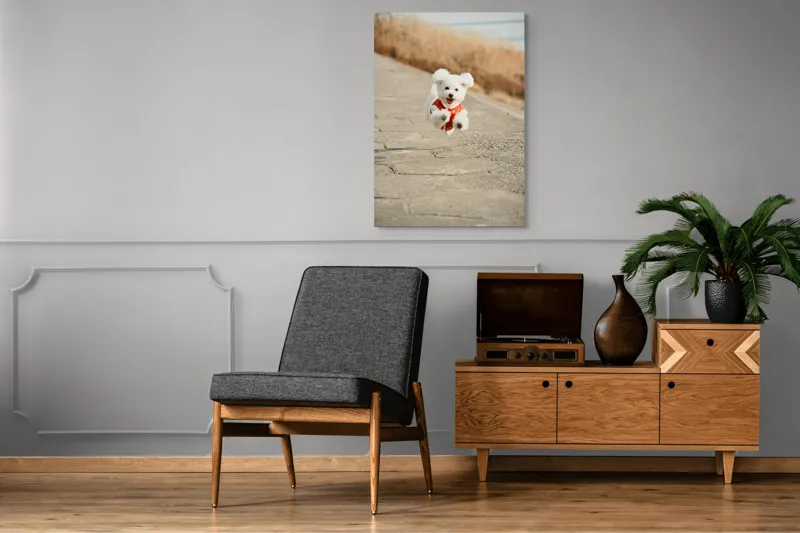 Tablou Canvas, "Zborul fericit al cățelului alb", Fluffy, Energetic, Joyful, Playful, Excited, Adorable, 70 x 100 cm – poza 6