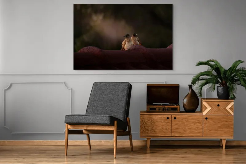 Tablou Canvas, "Doi prieteni sub cerul înstelat", Păsări, Acoperiș, Umbre, Natural, Pereche, 150 x 100 cm – poza 8