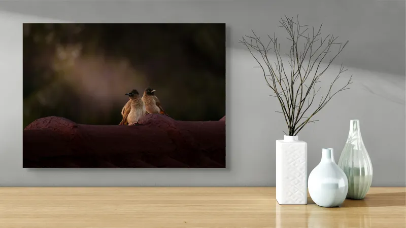 Tablou Canvas, "Doi prieteni sub cerul înstelat", Păsări, Acoperiș, Umbre, Natural, Pereche, 70 x 50 cm – poza 3