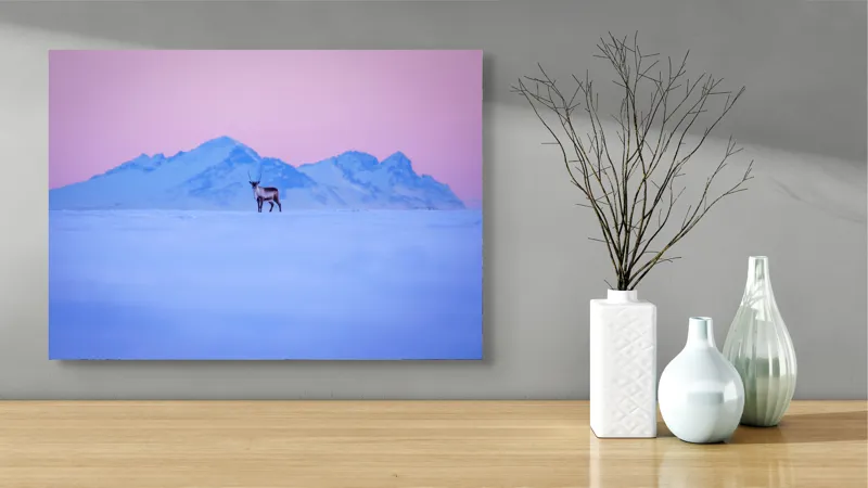 Tablou Canvas, "Renul singuratic în amurg înghețat", Cer, Munți, Ren, Zăpadă, Apus, Liniște, Izolare, Frumusețe, Răceală, Serenitate., 70 x 50 cm – poza 3