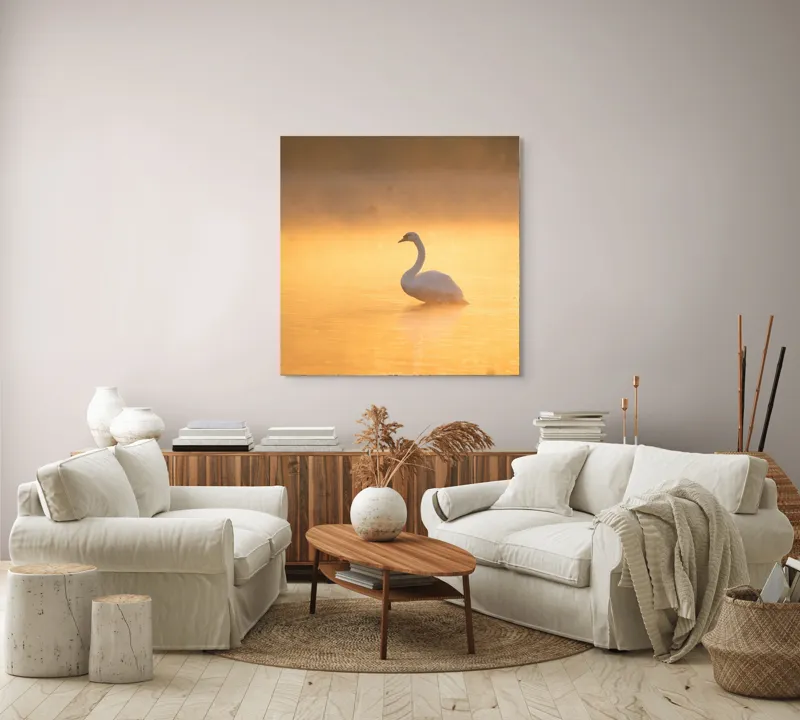 Tablou Canvas, "Lebăda în lumina dimineții aurii", Grație, Serenitate, Lumină, Reflecție, Răsărit, Apă, Siluetă, Ceață., 100 x 100 cm – poza 3