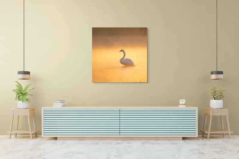 Tablou Canvas, "Lebăda în lumina dimineții aurii", Grație, Serenitate, Lumină, Reflecție, Răsărit, Apă, Siluetă, Ceață., 100 x 100 cm – poza 5