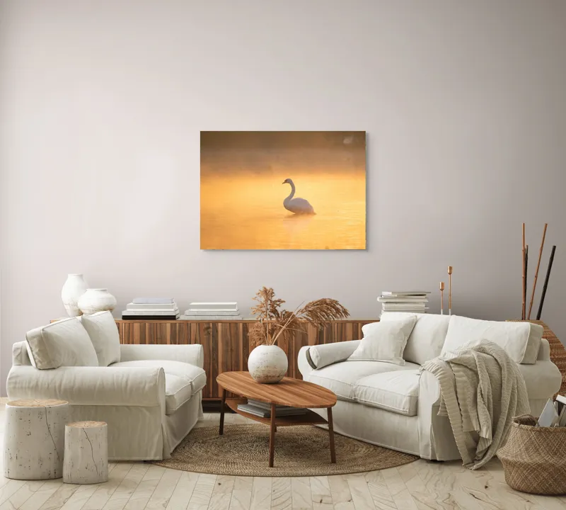 Tablou Canvas, "Lebăda în lumina dimineții aurii", Grație, Serenitate, Lumină, Reflecție, Răsărit, Apă, Siluetă, Ceață., 100 x 70 cm – poza 3