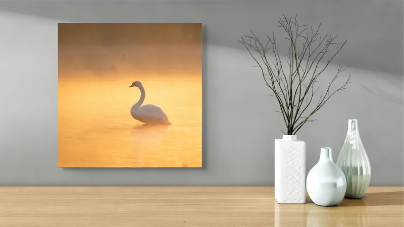 Tablou Canvas, "Lebăda în lumina dimineții aurii", Grație, Serenitate, Lumină, Reflecție, Răsărit, Apă, Siluetă, Ceață., 50 x 50 cm – poza 3