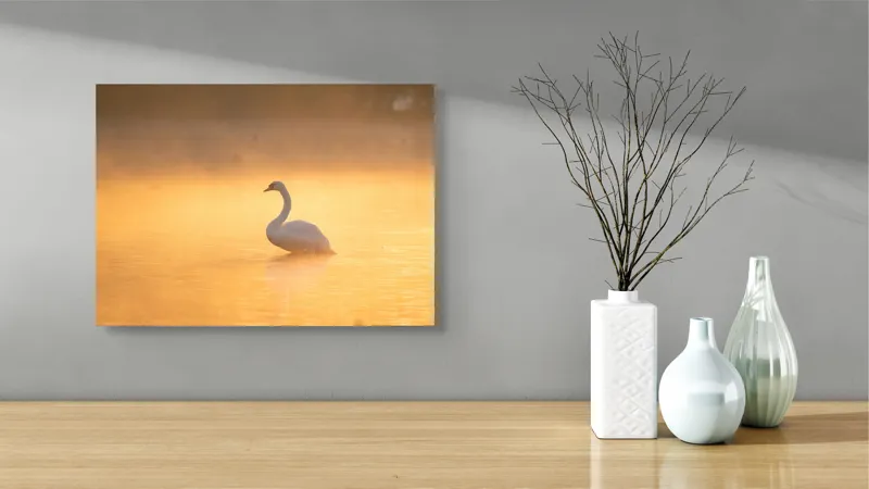 Tablou Canvas, "Lebăda în lumina dimineții aurii", Grație, Serenitate, Lumină, Reflecție, Răsărit, Apă, Siluetă, Ceață., 54 x 39 cm – poza 3