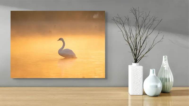 Tablou Canvas, "Lebăda în lumina dimineții aurii", Grație, Serenitate, Lumină, Reflecție, Răsărit, Apă, Siluetă, Ceață., 70 x 50 cm – poza 3