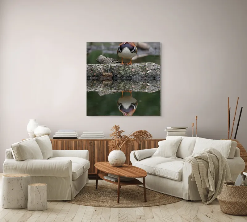 Tablou Canvas, "Rața mandarin pe oglinda apei", Rață, Reflecție, Apă, Culoare, Frumusețe, Simetrie, Natură, Lemn., 100 x 100 cm – poza 3