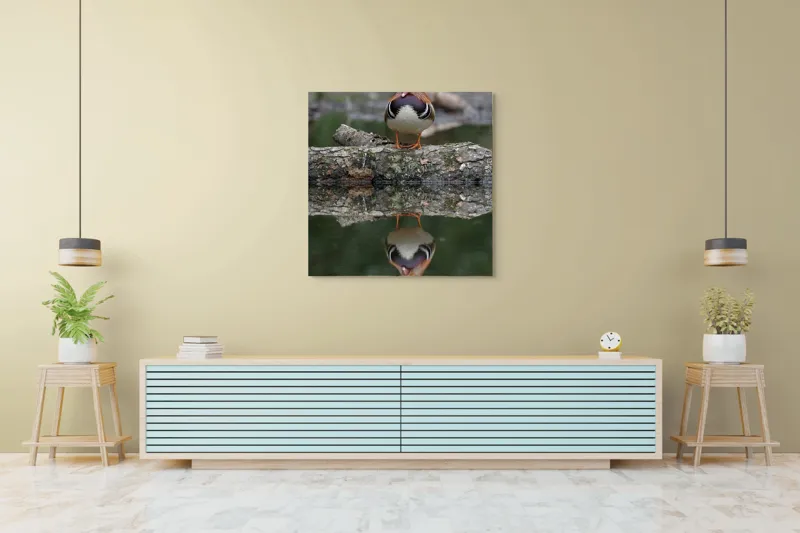 Tablou Canvas, "Rața mandarin pe oglinda apei", Rață, Reflecție, Apă, Culoare, Frumusețe, Simetrie, Natură, Lemn., 100 x 100 cm – poza 5