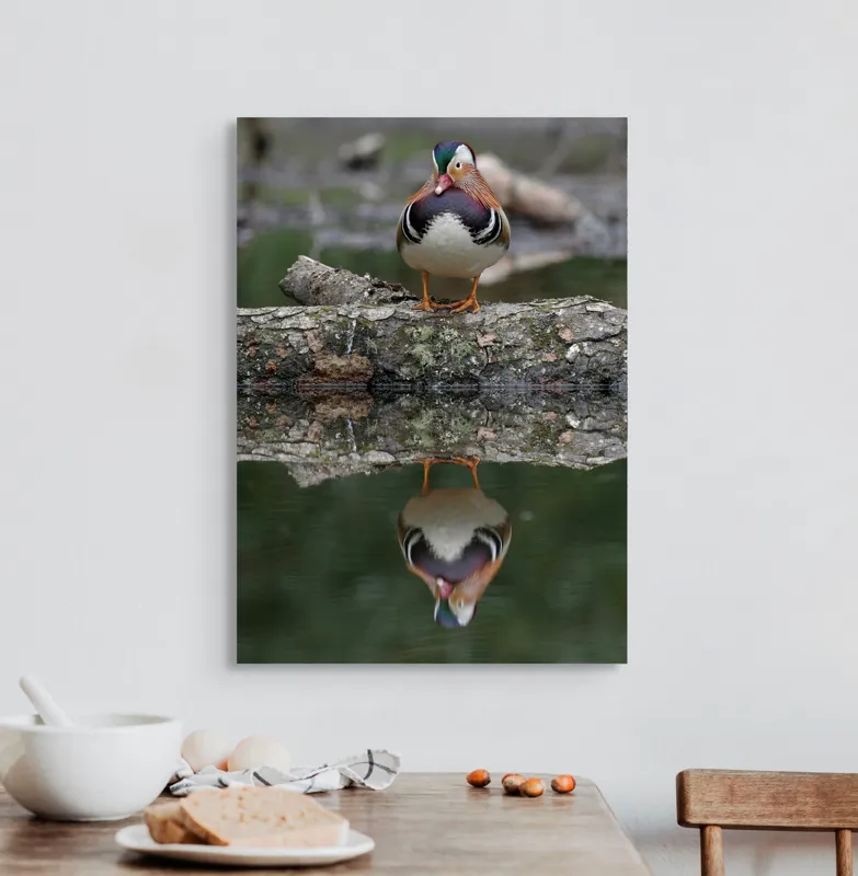 Tablou Canvas, "Rața mandarin pe oglinda apei", Rață, Reflecție, Apă, Culoare, Frumusețe, Simetrie, Natură, Lemn., 50 x 70 cm – poza 3