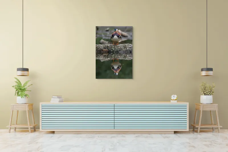 Tablou Canvas, "Rața mandarin pe oglinda apei", Rață, Reflecție, Apă, Culoare, Frumusețe, Simetrie, Natură, Lemn., 70 x 100 cm – poza 5