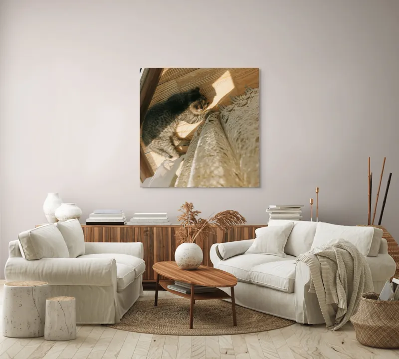 Tablou Canvas, "Pisica torcând la soare pe podea", Pisică, Lumină, Podea, Umbră, Draperie, Relaxare, Blană, Lemn, 100 x 100 cm – poza 3