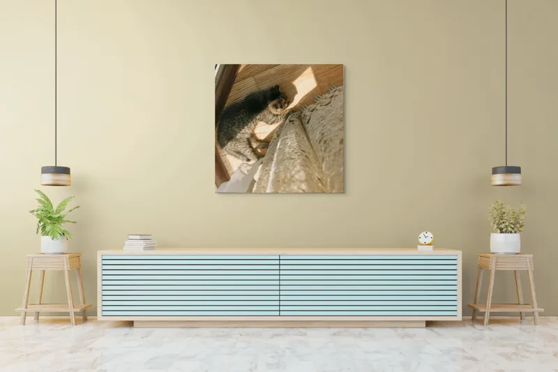 Tablou Canvas, "Pisica torcând la soare pe podea", Pisică, Lumină, Podea, Umbră, Draperie, Relaxare, Blană, Lemn, 100 x 100 cm – poza 5