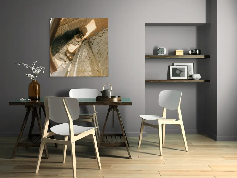 Tablou Canvas, "Pisica torcând la soare pe podea", Pisică, Lumină, Podea, Umbră, Draperie, Relaxare, Blană, Lemn, 100 x 100 cm – poza 6