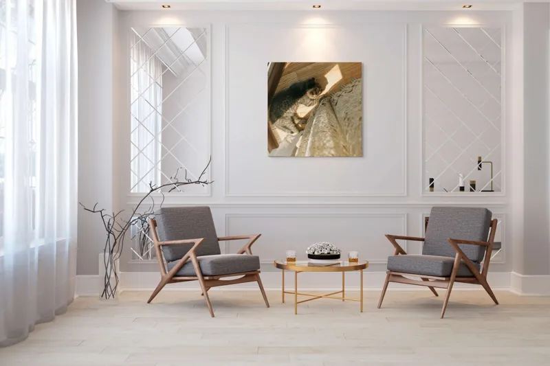 Tablou Canvas, "Pisica torcând la soare pe podea", Pisică, Lumină, Podea, Umbră, Draperie, Relaxare, Blană, Lemn, 100 x 100 cm – poza 7