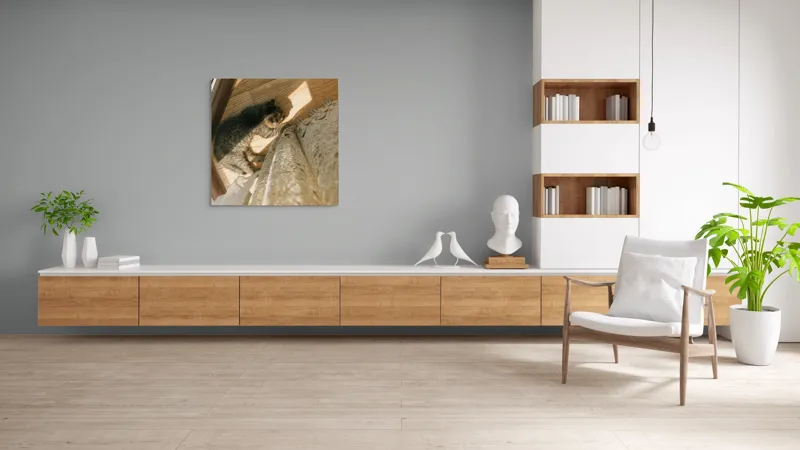 Tablou Canvas, "Pisica torcând la soare pe podea", Pisică, Lumină, Podea, Umbră, Draperie, Relaxare, Blană, Lemn, 100 x 100 cm – poza 8