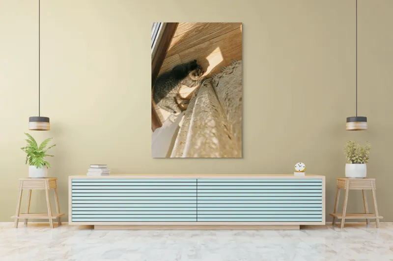 Tablou Canvas, "Pisica torcând la soare pe podea", Pisică, Lumină, Podea, Umbră, Draperie, Relaxare, Blană, Lemn, 100 x 150 cm – poza 4