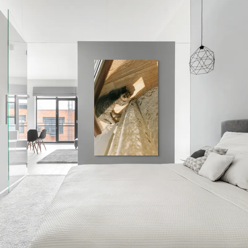 Tablou Canvas, "Pisica torcând la soare pe podea", Pisică, Lumină, Podea, Umbră, Draperie, Relaxare, Blană, Lemn, 100 x 150 cm – poza 5