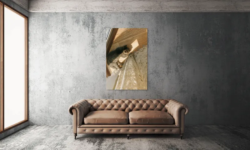 Tablou Canvas, "Pisica torcând la soare pe podea", Pisică, Lumină, Podea, Umbră, Draperie, Relaxare, Blană, Lemn, 100 x 150 cm – poza 6