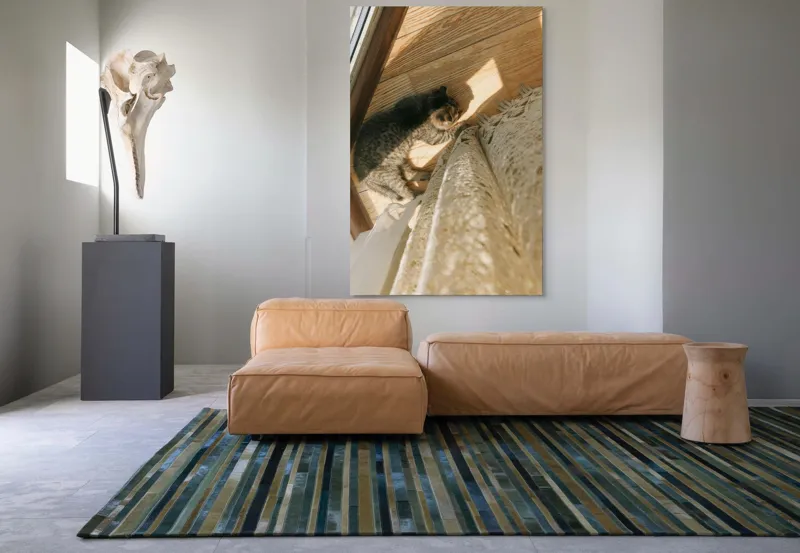 Tablou Canvas, "Pisica torcând la soare pe podea", Pisică, Lumină, Podea, Umbră, Draperie, Relaxare, Blană, Lemn, 100 x 150 cm – poza 7