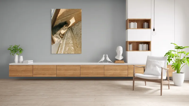Tablou Canvas, "Pisica torcând la soare pe podea", Pisică, Lumină, Podea, Umbră, Draperie, Relaxare, Blană, Lemn, 100 x 150 cm – poza 8