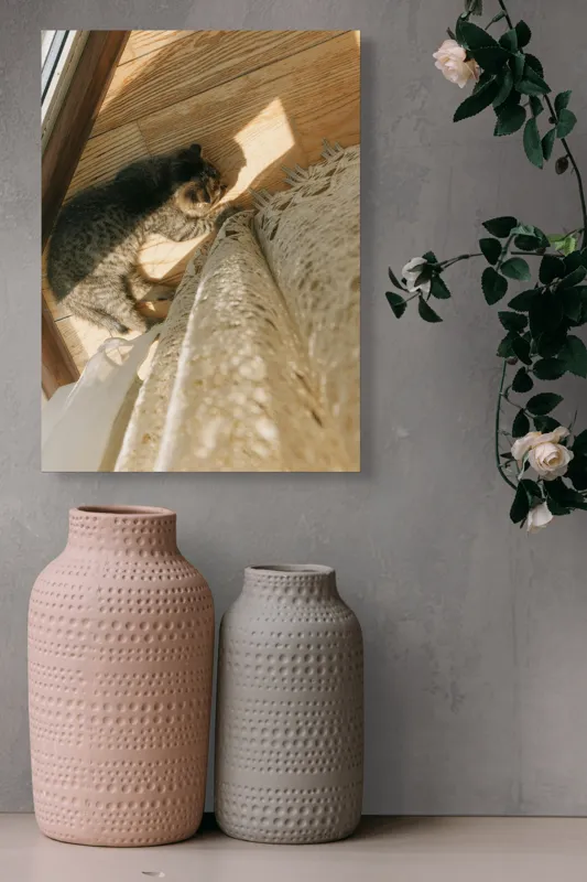 Tablou Canvas, "Pisica torcând la soare pe podea", Pisică, Lumină, Podea, Umbră, Draperie, Relaxare, Blană, Lemn, 39 x 54 cm – poza 6