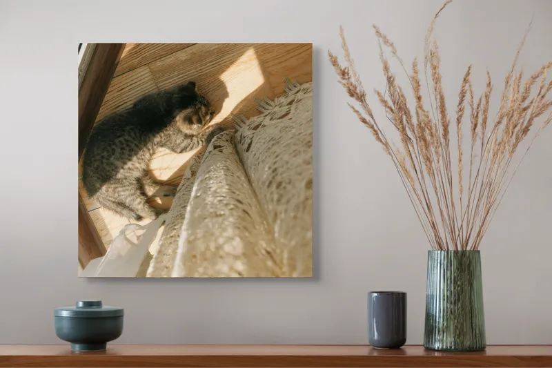 Tablou Canvas, "Pisica torcând la soare pe podea", Pisică, Lumină, Podea, Umbră, Draperie, Relaxare, Blană, Lemn, 50 x 50 cm – poza 4