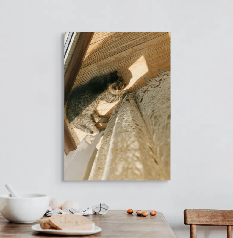 Tablou Canvas, "Pisica torcând la soare pe podea", Pisică, Lumină, Podea, Umbră, Draperie, Relaxare, Blană, Lemn, 50 x 70 cm – poza 3