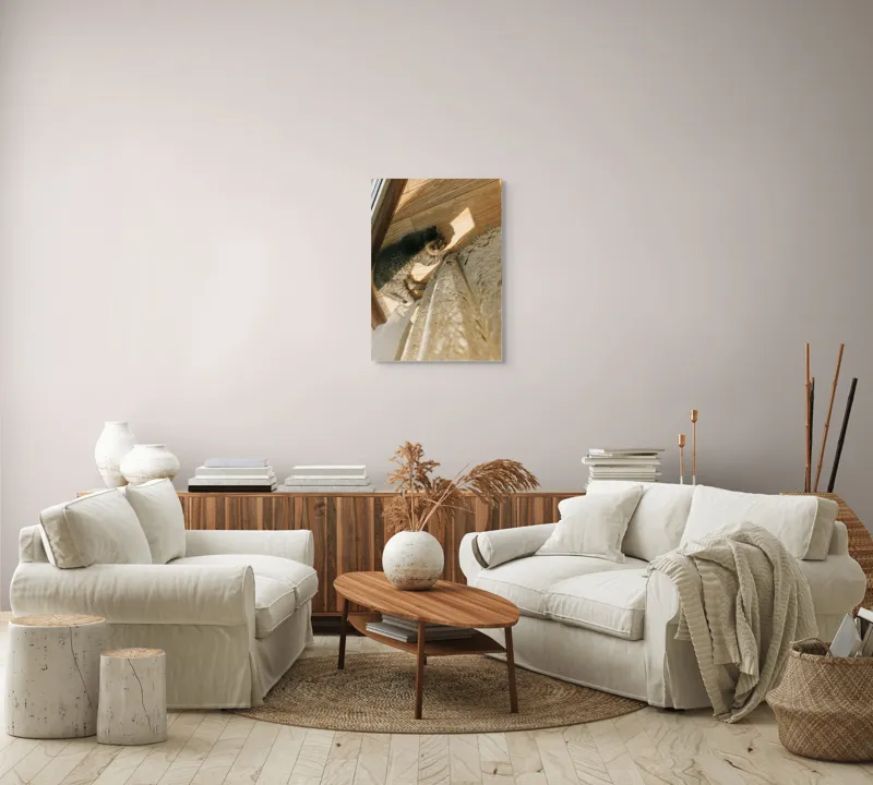 Tablou Canvas, "Pisica torcând la soare pe podea", Pisică, Lumină, Podea, Umbră, Draperie, Relaxare, Blană, Lemn, 50 x 70 cm – poza 4