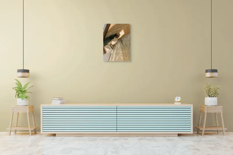 Tablou Canvas, "Pisica torcând la soare pe podea", Pisică, Lumină, Podea, Umbră, Draperie, Relaxare, Blană, Lemn, 50 x 70 cm – poza 6