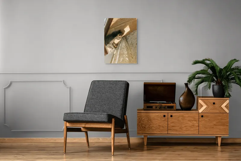 Tablou Canvas, "Pisica torcând la soare pe podea", Pisică, Lumină, Podea, Umbră, Draperie, Relaxare, Blană, Lemn, 50 x 70 cm – poza 8