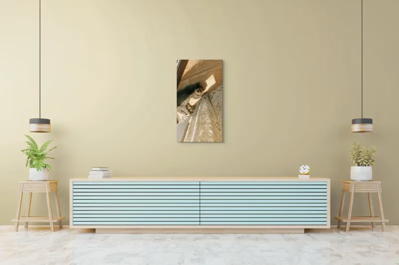 Tablou Canvas, "Pisica torcând la soare pe podea", Pisică, Lumină, Podea, Umbră, Draperie, Relaxare, Blană, Lemn, 50 x 90 cm – poza 6