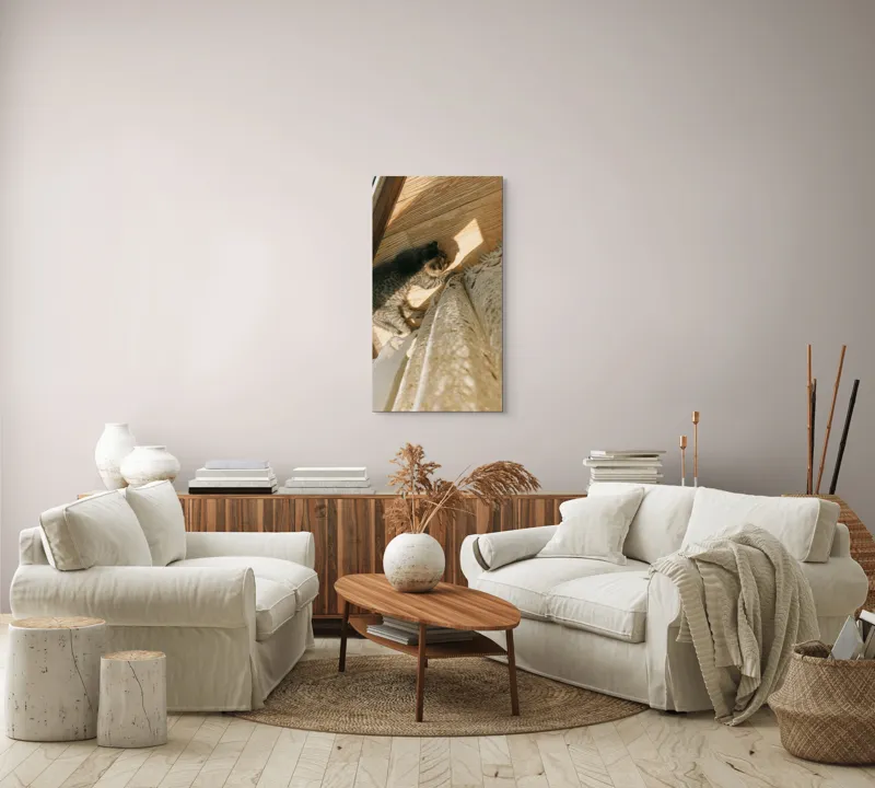 Tablou Canvas, "Pisica torcând la soare pe podea", Pisică, Lumină, Podea, Umbră, Draperie, Relaxare, Blană, Lemn, 50 x 90 cm – poza 7