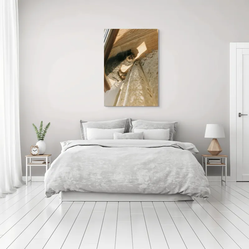 Tablou Canvas, "Pisica torcând la soare pe podea", Pisică, Lumină, Podea, Umbră, Draperie, Relaxare, Blană, Lemn, 70 x 100 cm – poza 3