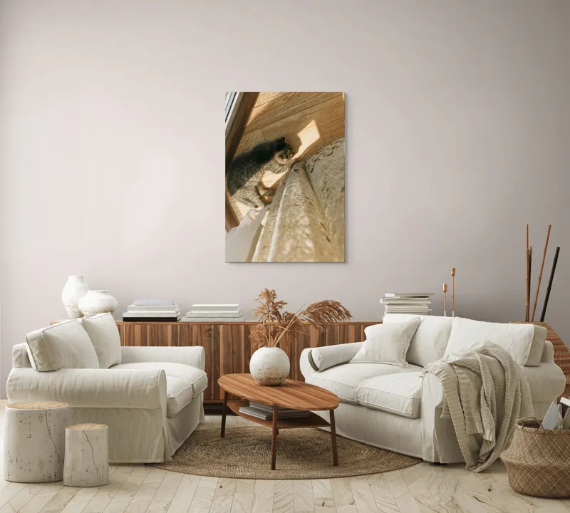 Tablou Canvas, "Pisica torcând la soare pe podea", Pisică, Lumină, Podea, Umbră, Draperie, Relaxare, Blană, Lemn, 70 x 100 cm – poza 4