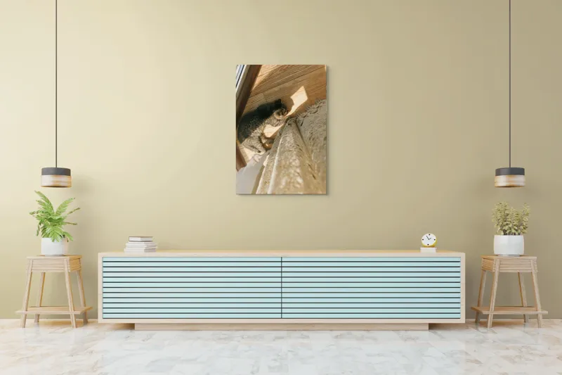 Tablou Canvas, "Pisica torcând la soare pe podea", Pisică, Lumină, Podea, Umbră, Draperie, Relaxare, Blană, Lemn, 70 x 100 cm – poza 5
