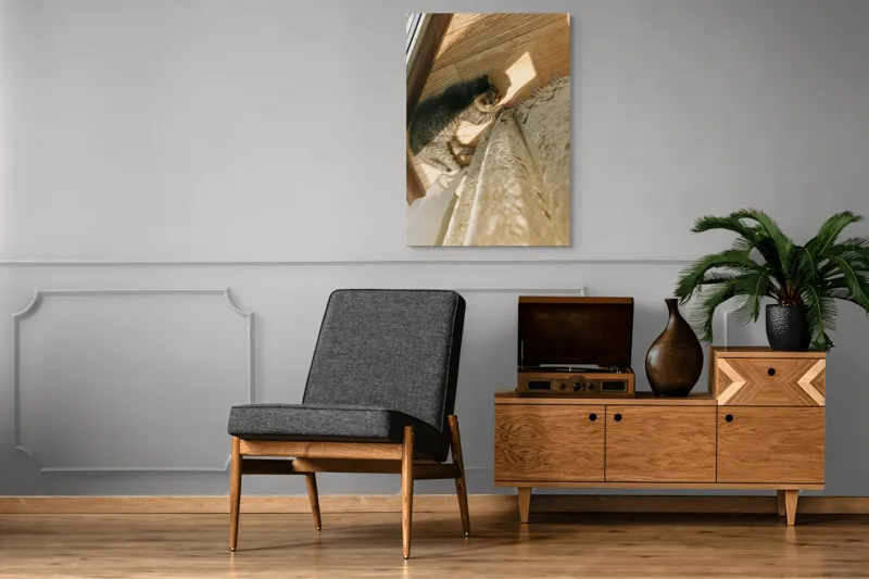 Tablou Canvas, "Pisica torcând la soare pe podea", Pisică, Lumină, Podea, Umbră, Draperie, Relaxare, Blană, Lemn, 70 x 100 cm – poza 6