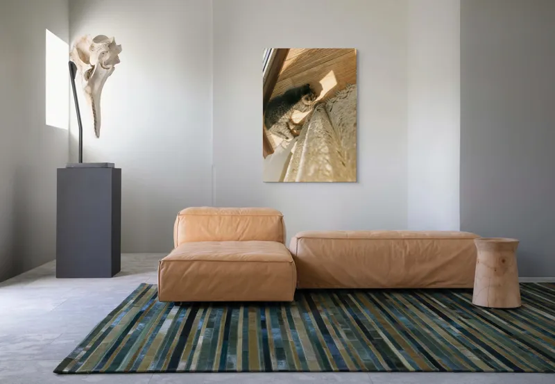 Tablou Canvas, "Pisica torcând la soare pe podea", Pisică, Lumină, Podea, Umbră, Draperie, Relaxare, Blană, Lemn, 70 x 100 cm – poza 7