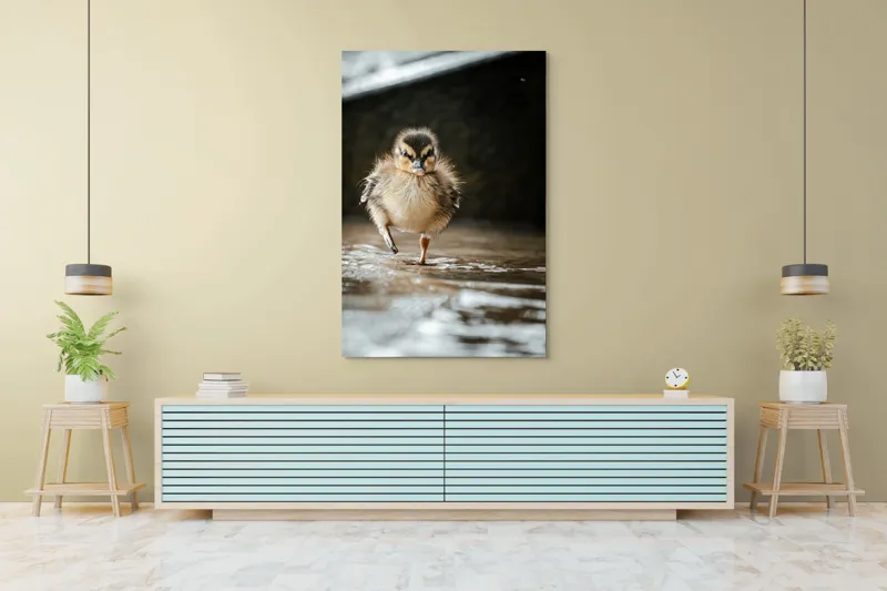 Tablou Canvas, "Rățușca pe drumul umed al vieții", Pui, Rață, Apă, Mers, Blană, Pene, Ochisori, Drăgălaș, Primăvară, Mic, Natură, Umede, Piciorușe, Reflecție, Sclipire, 100 x 150 cm – poza 4