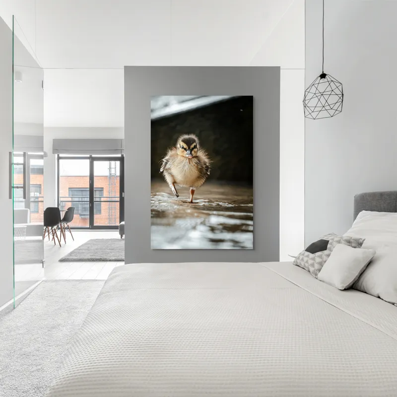 Tablou Canvas, "Rățușca pe drumul umed al vieții", Pui, Rață, Apă, Mers, Blană, Pene, Ochisori, Drăgălaș, Primăvară, Mic, Natură, Umede, Piciorușe, Reflecție, Sclipire, 100 x 150 cm – poza 5