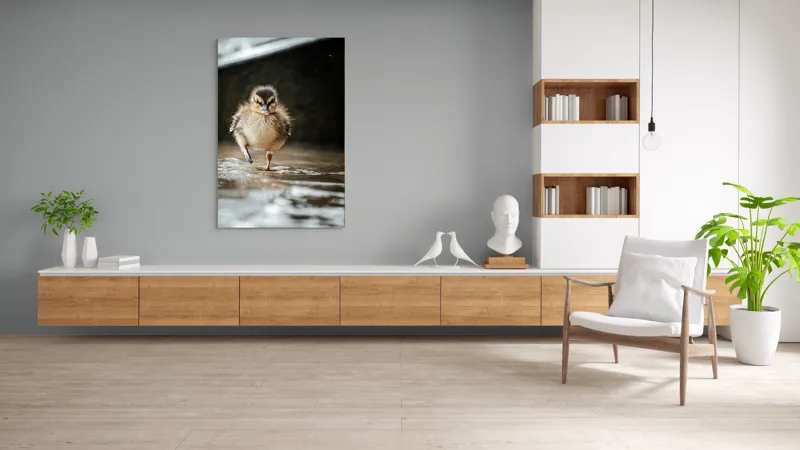 Tablou Canvas, "Rățușca pe drumul umed al vieții", Pui, Rață, Apă, Mers, Blană, Pene, Ochisori, Drăgălaș, Primăvară, Mic, Natură, Umede, Piciorușe, Reflecție, Sclipire, 100 x 150 cm – poza 8