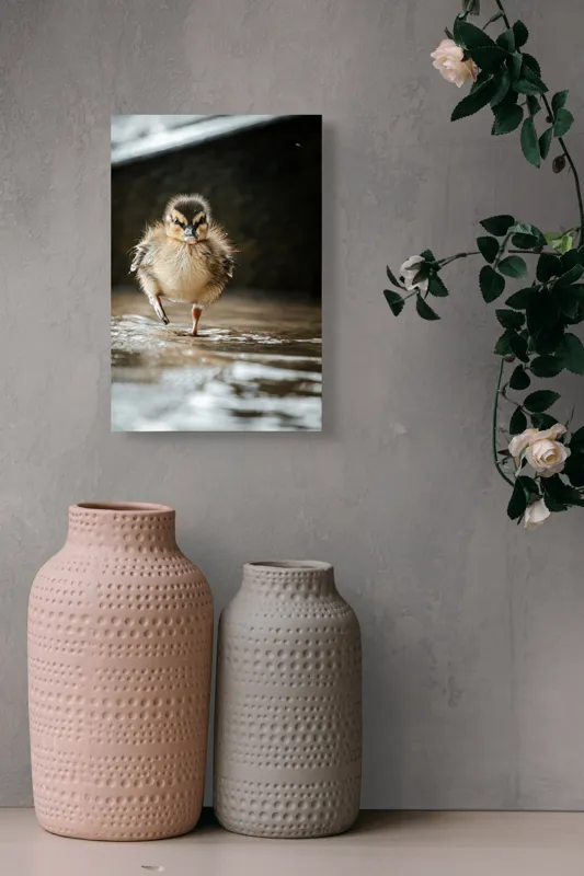 Tablou Canvas, "Rățușca pe drumul umed al vieții", Pui, Rață, Apă, Mers, Blană, Pene, Ochisori, Drăgălaș, Primăvară, Mic, Natură, Umede, Piciorușe, Reflecție, Sclipire, 26 x 39 cm – poza 6