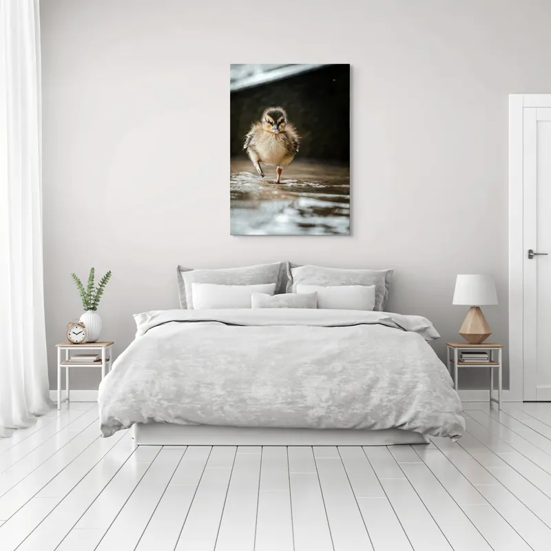 Tablou Canvas, "Rățușca pe drumul umed al vieții", Pui, Rață, Apă, Mers, Blană, Pene, Ochisori, Drăgălaș, Primăvară, Mic, Natură, Umede, Piciorușe, Reflecție, Sclipire, 70 x 100 cm – poza 3